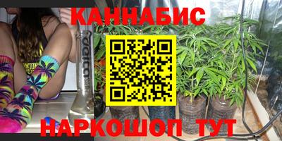 apvp Дмитров