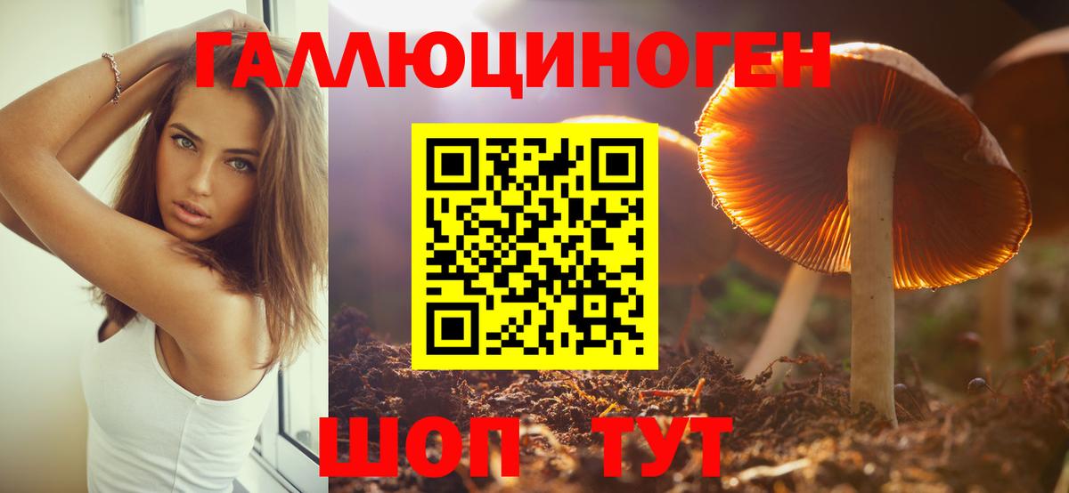 Псилоцибиновые грибы GOLDEN TEACHER Ейск