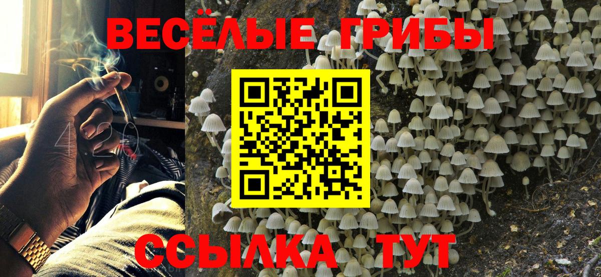 Псилоцибиновые грибы MAGIC MUSHROOMS  Псилоцибиновые грибы GOLDEN TEACHER  Ейск  Вход с VPN 