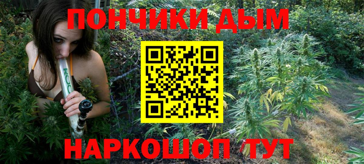 Канабис сатива Ейск