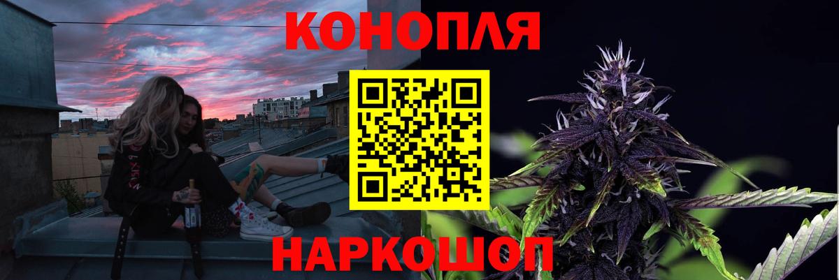 Бошки Шишки семена  МАРИХУАНА планчик  Ейск  Вход с VPN  Канабис Amnesia 